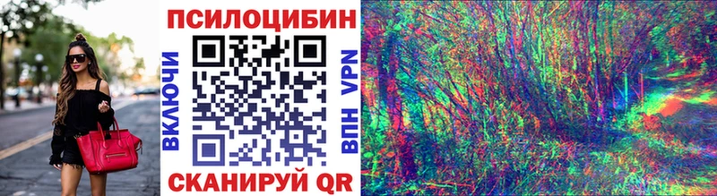 Галлюциногенные грибы Psilocybine cubensis  как найти закладки  Сальск 